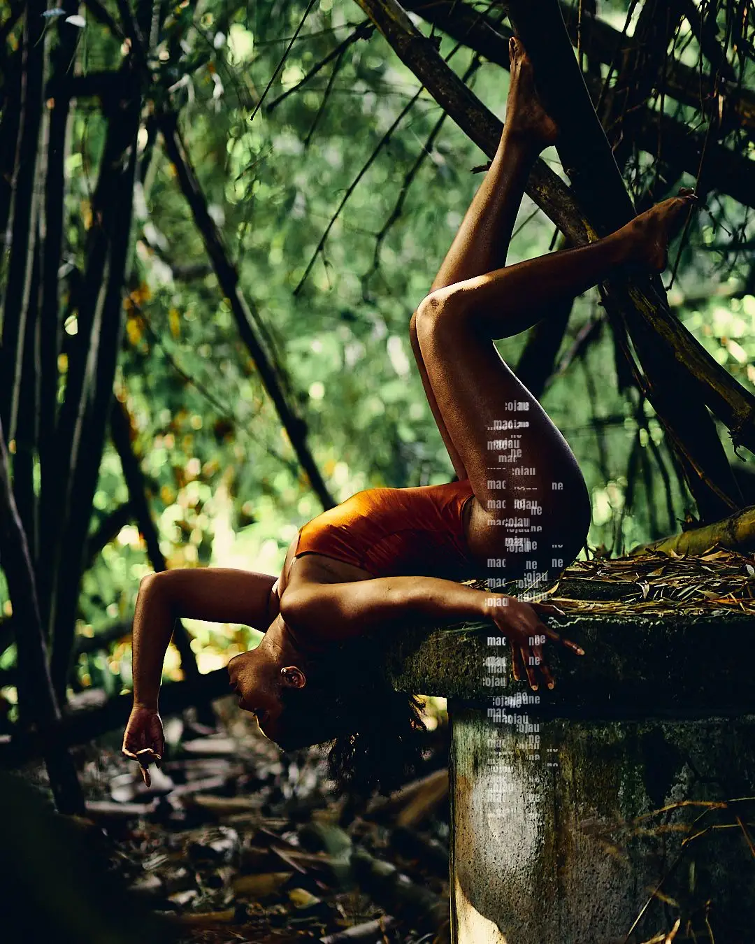 DSC06738