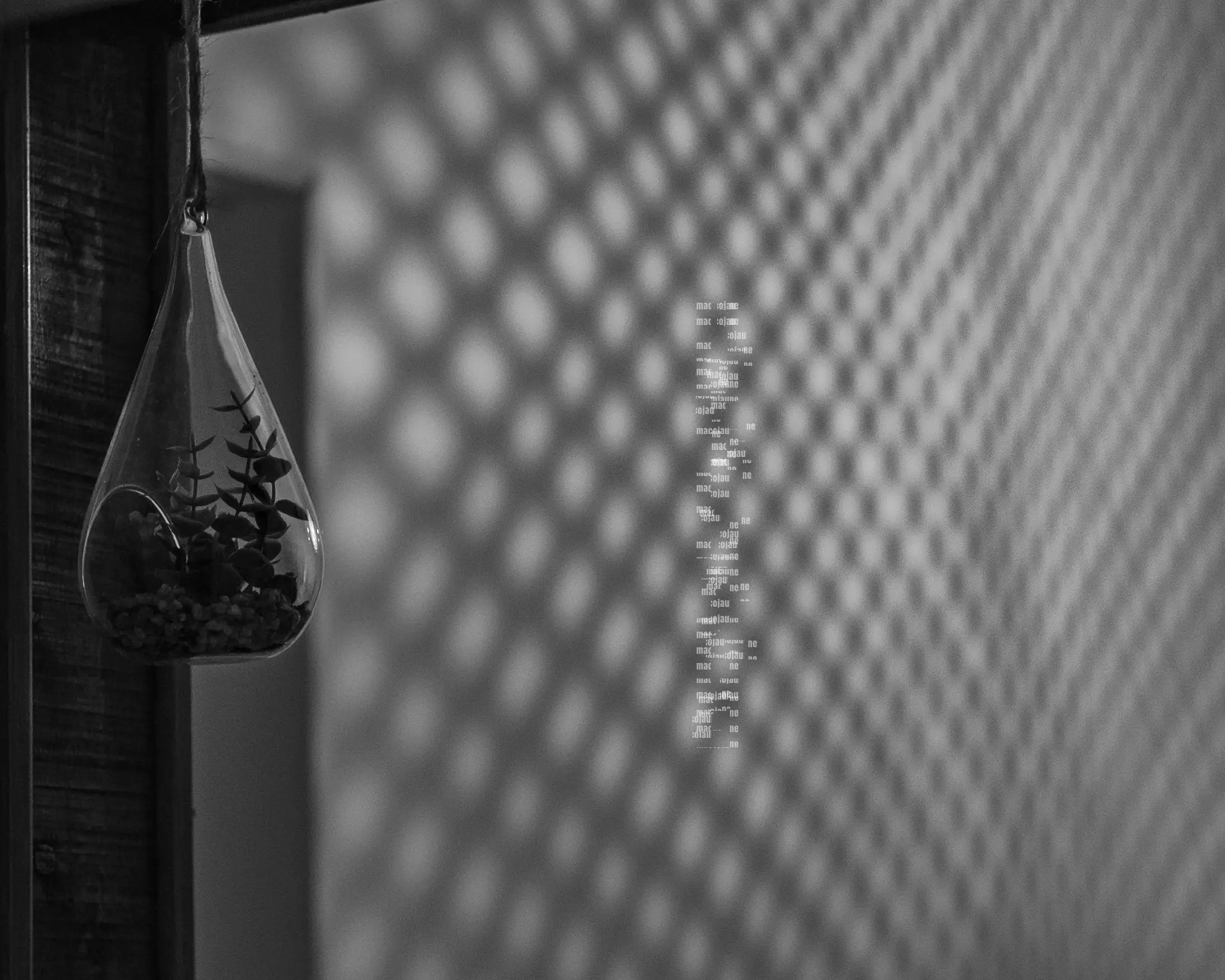 DSC03799