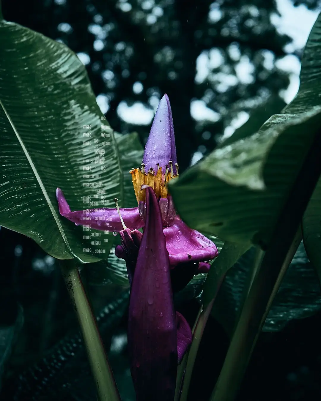 Insta DSC01807