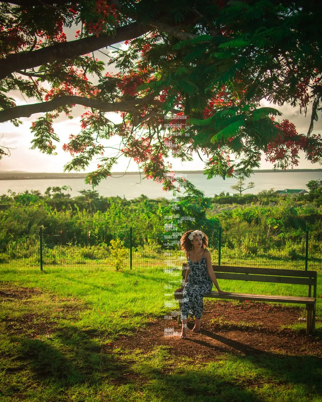 Insta 8262034