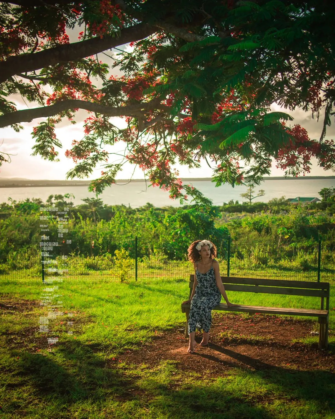 Insta 8262034
