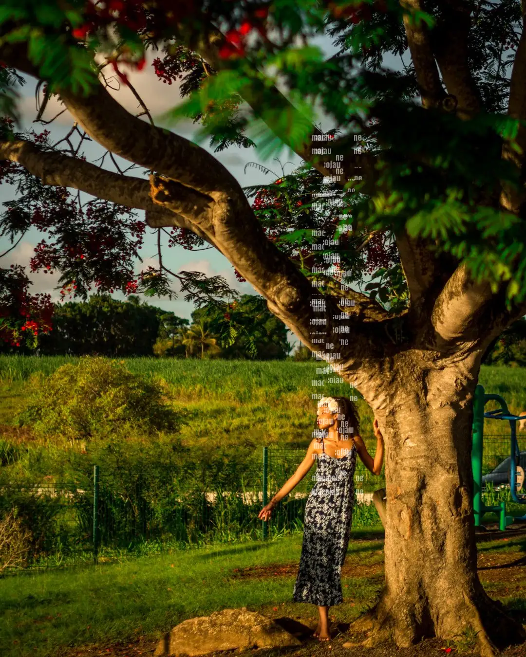 Insta 8262044