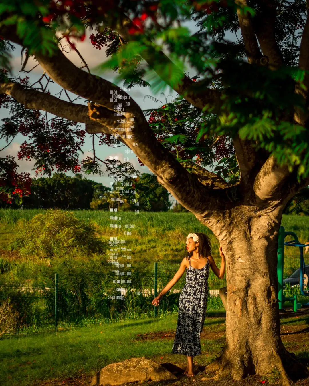 Insta 8262044