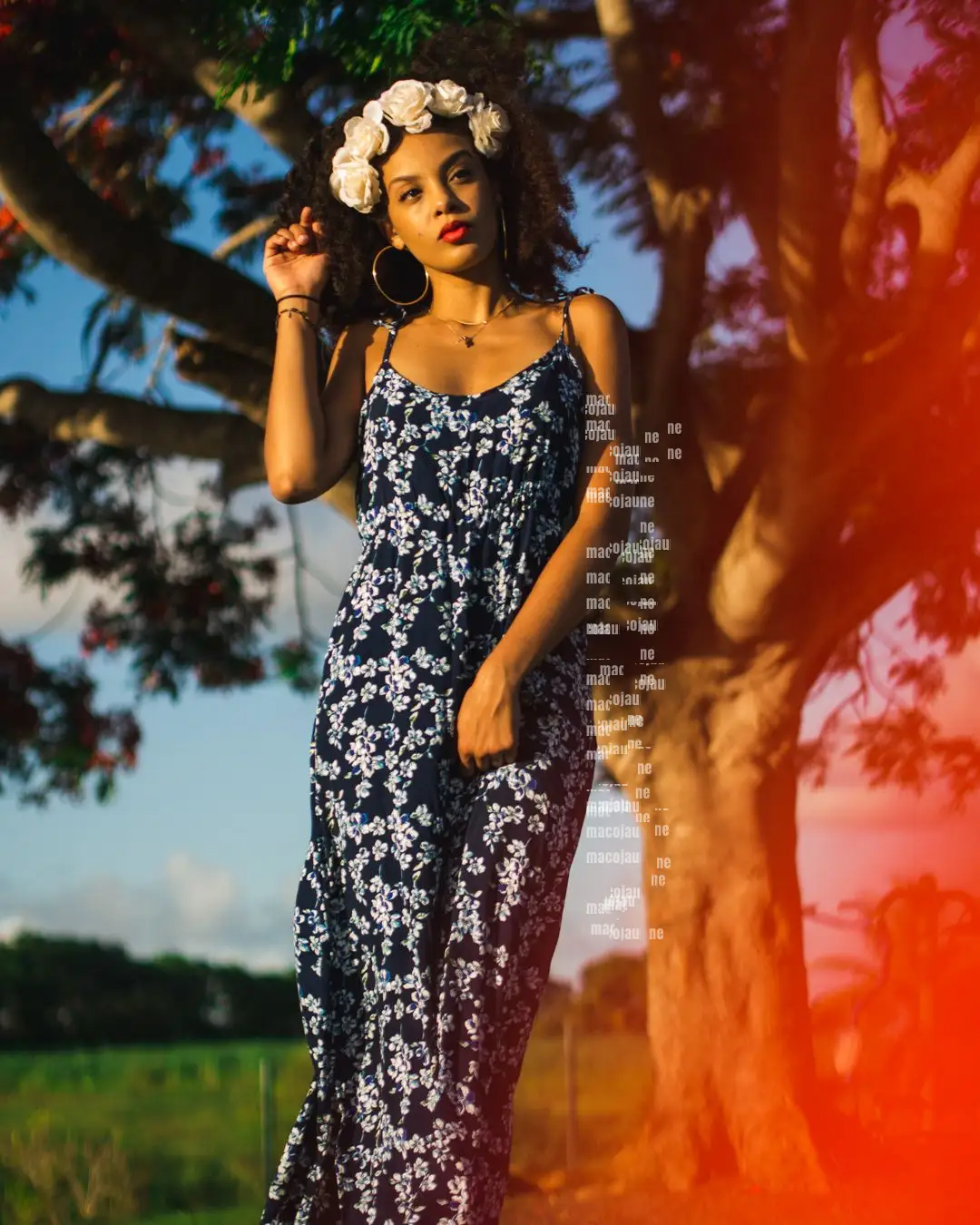 Insta 8262062