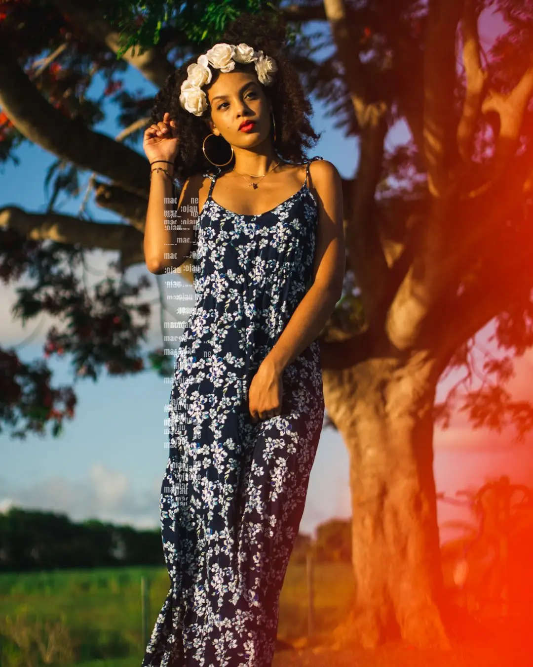 Insta 8262062