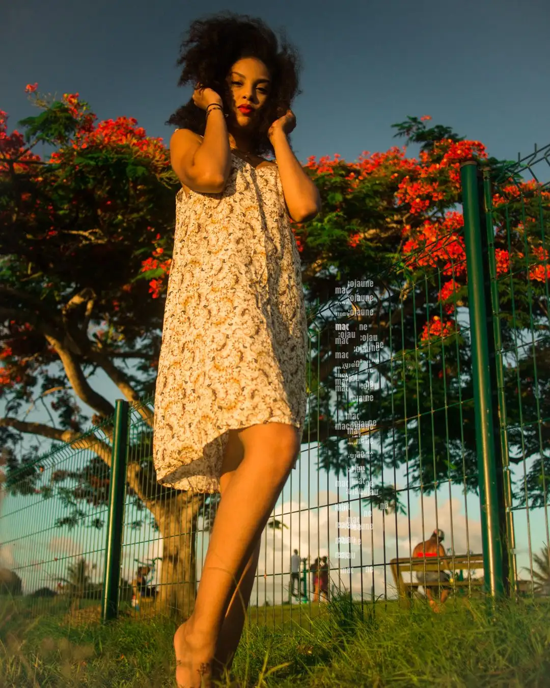 Insta 8262114
