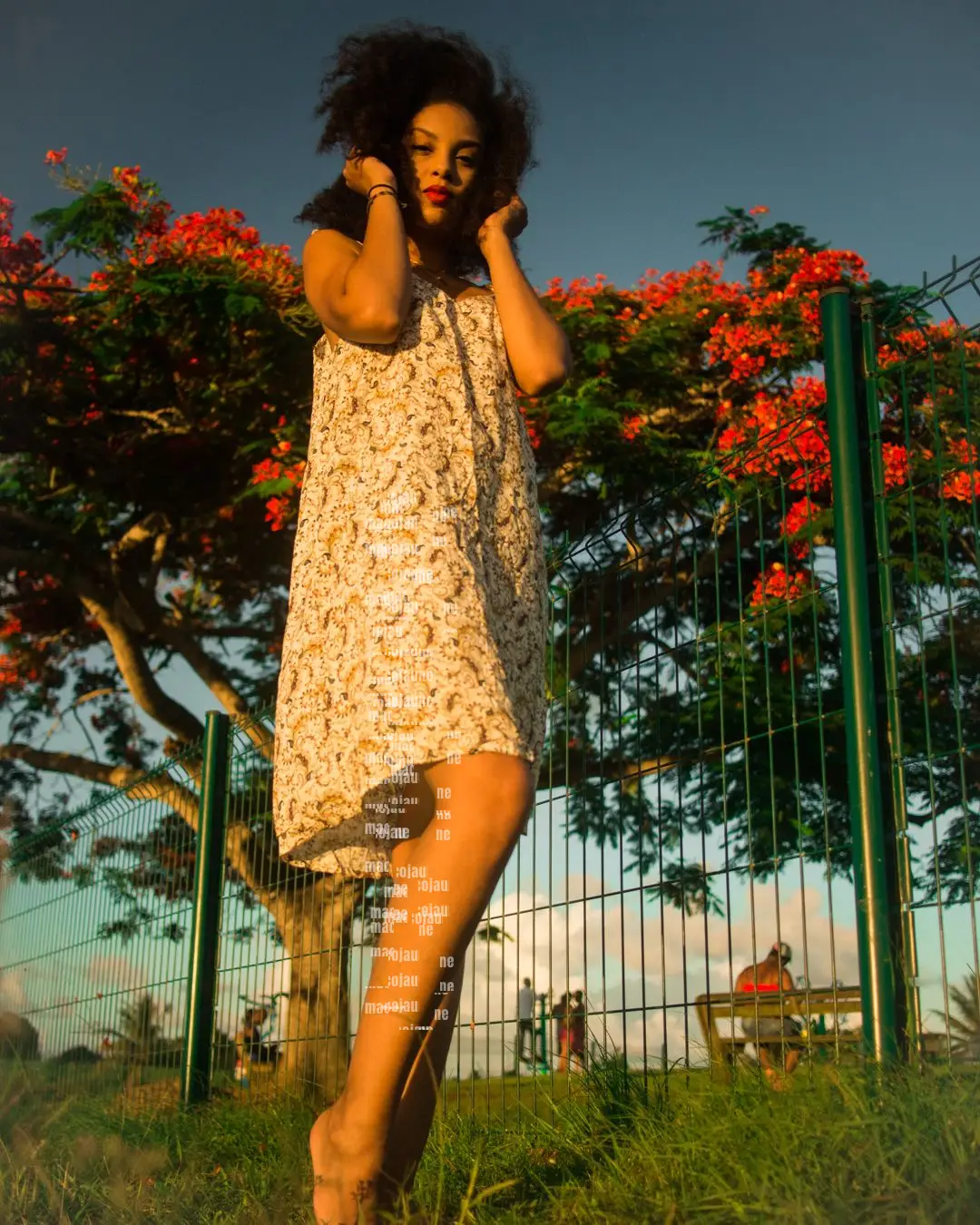 Insta 8262114