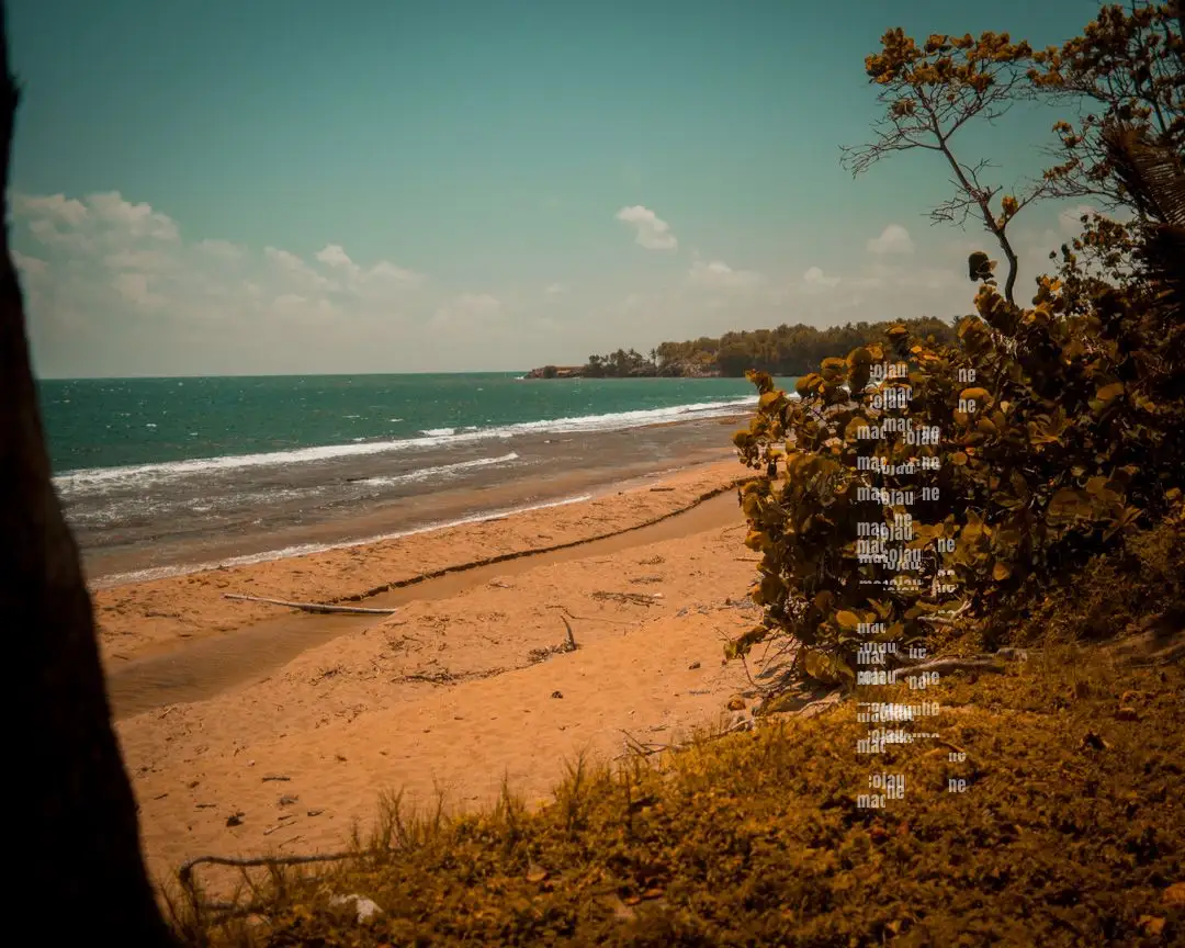 Insta P7290033