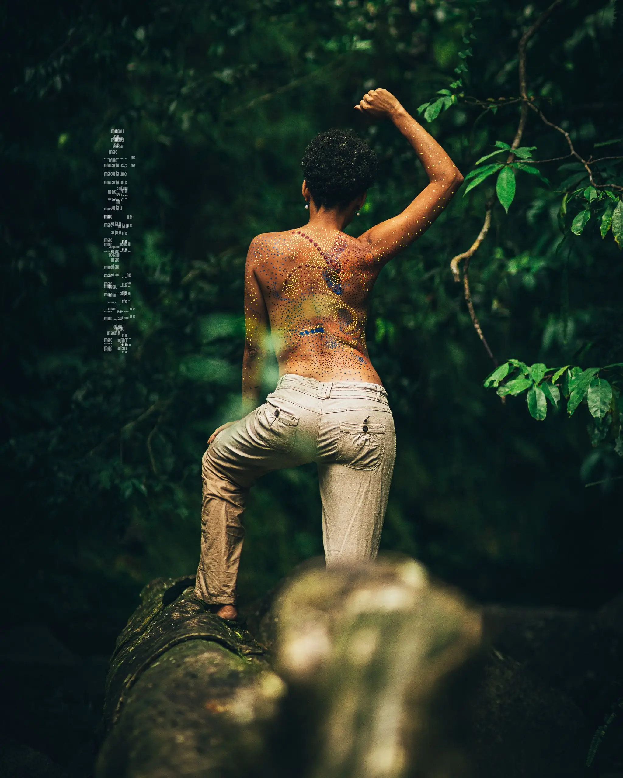 Insta MCO04572