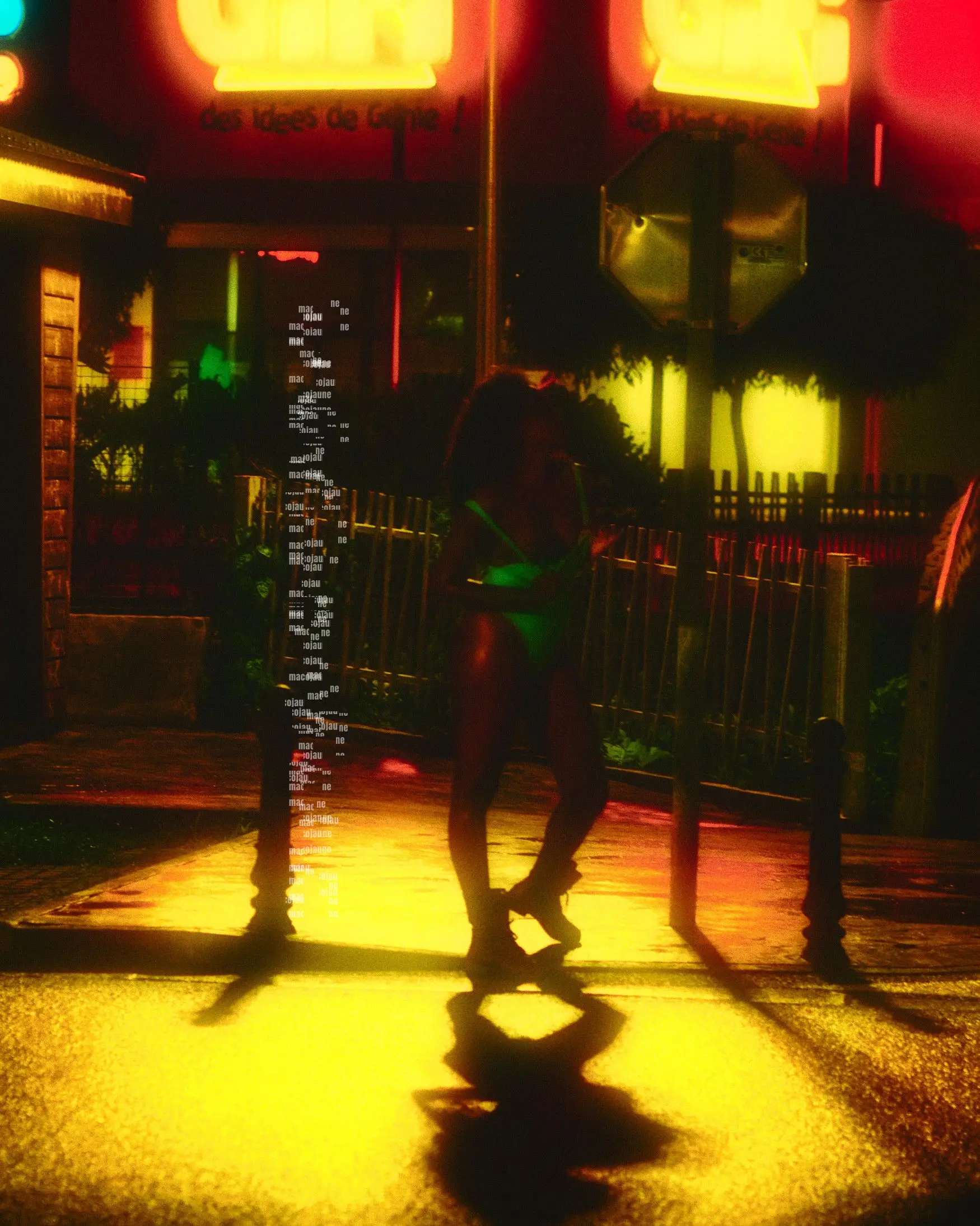 DSC04423