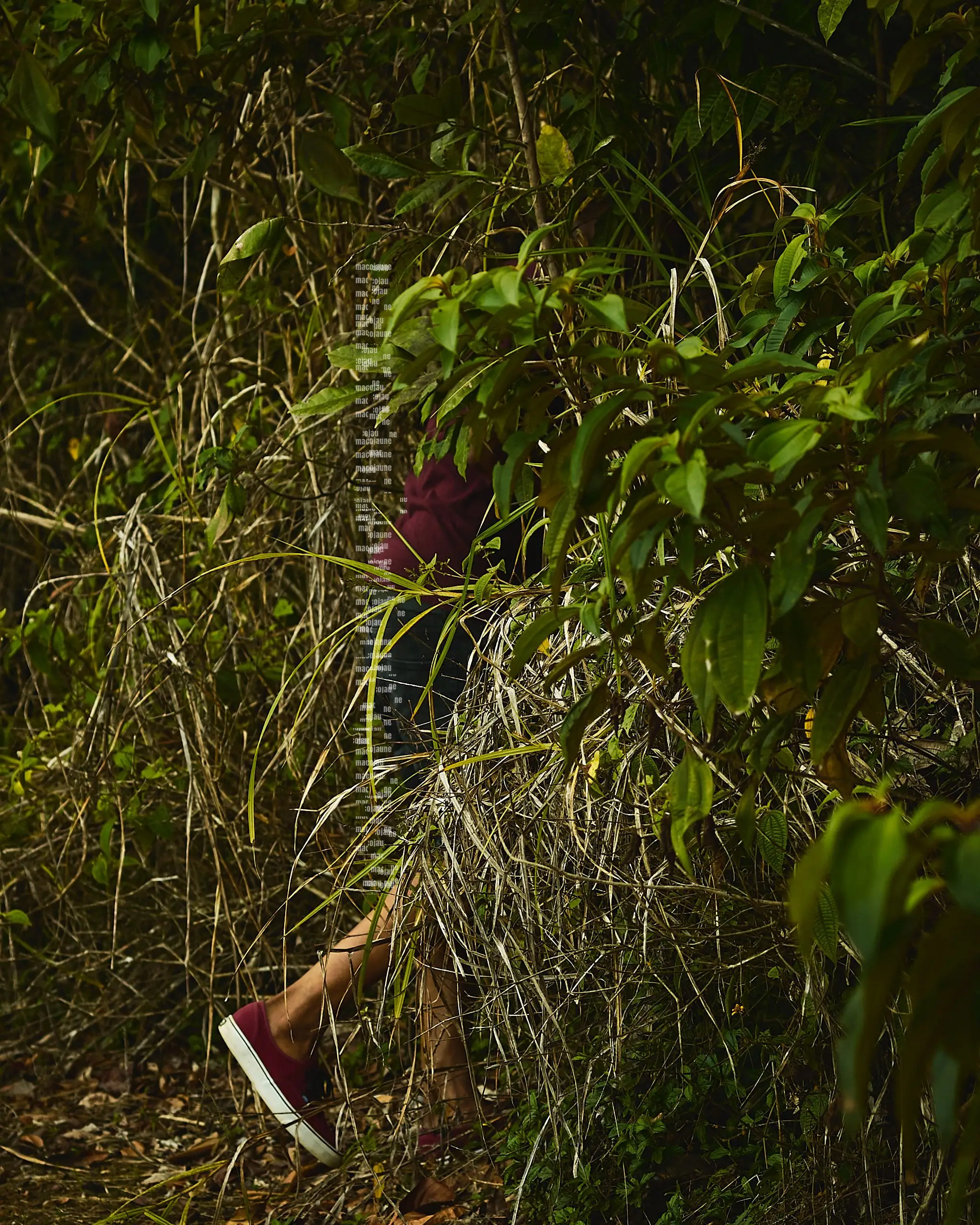 DSC02976
