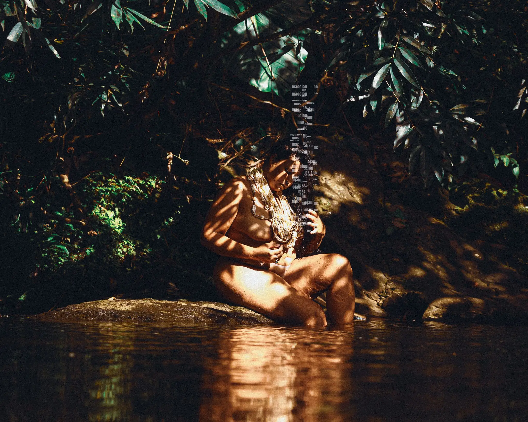 Insta MCO06217