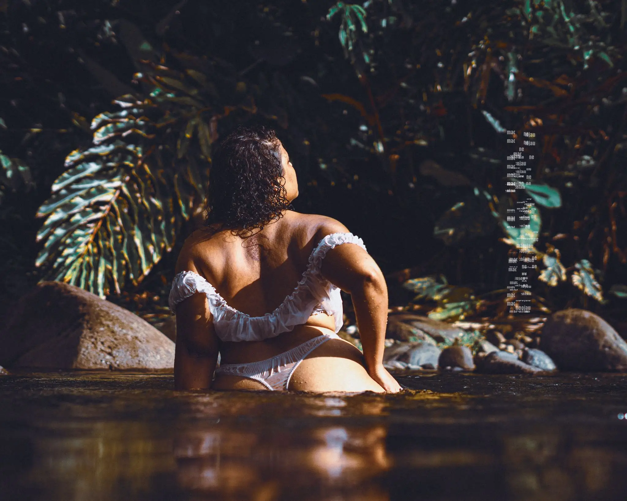 Insta MCO06395