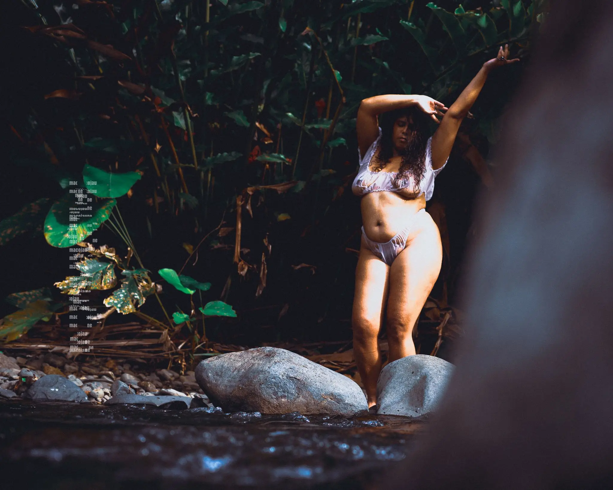 Insta MCO06415