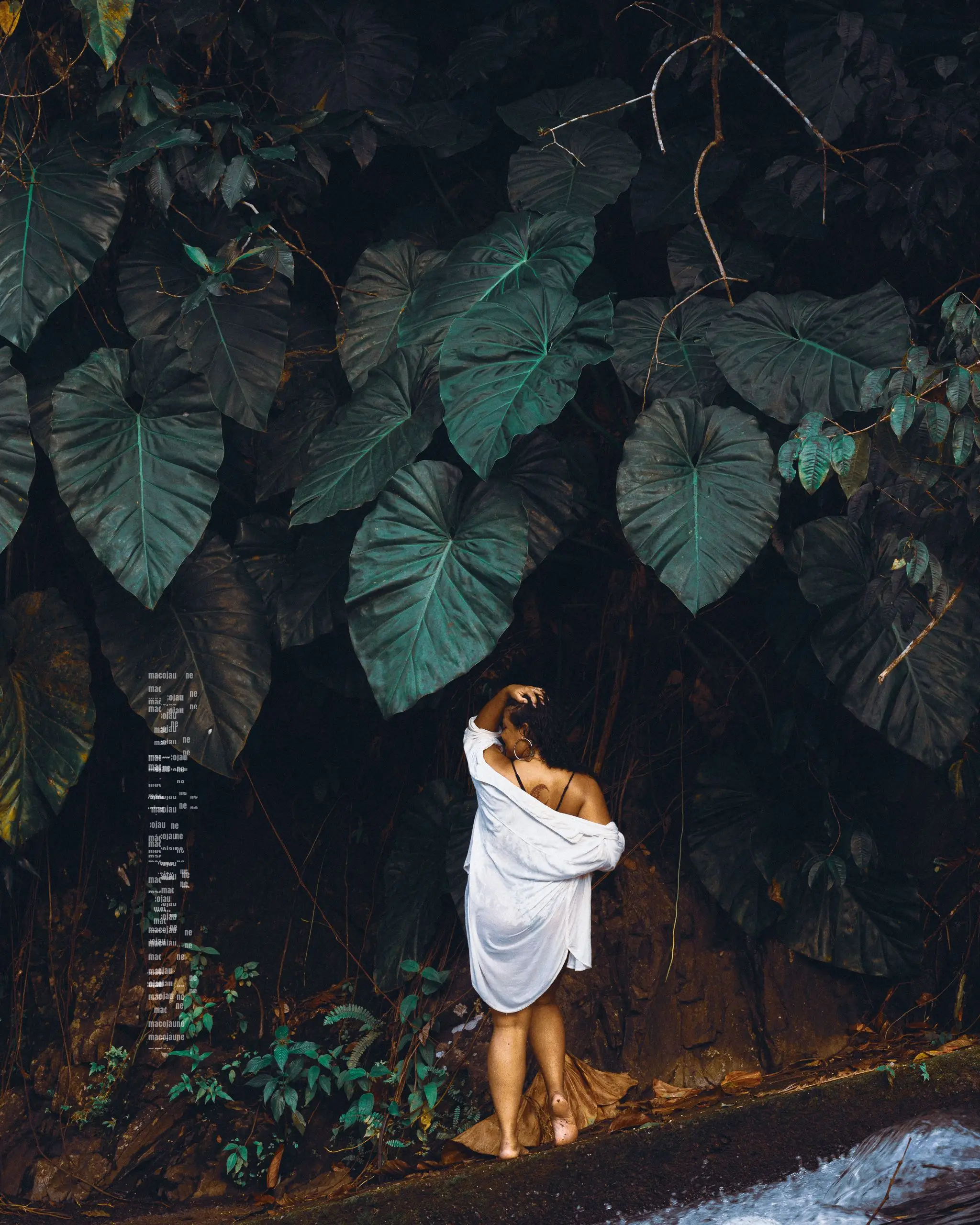 Insta MCO06617