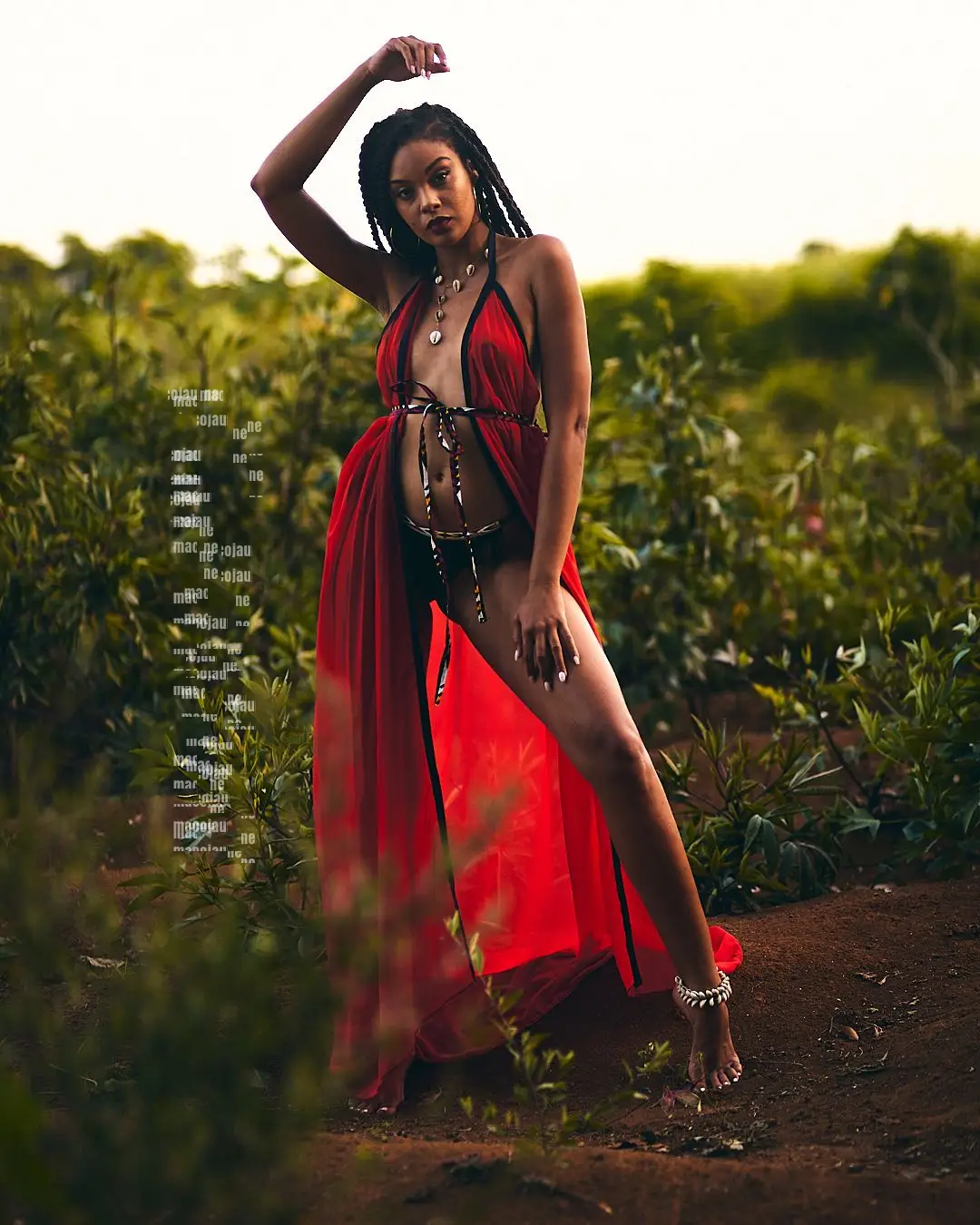 Insta DSC01402