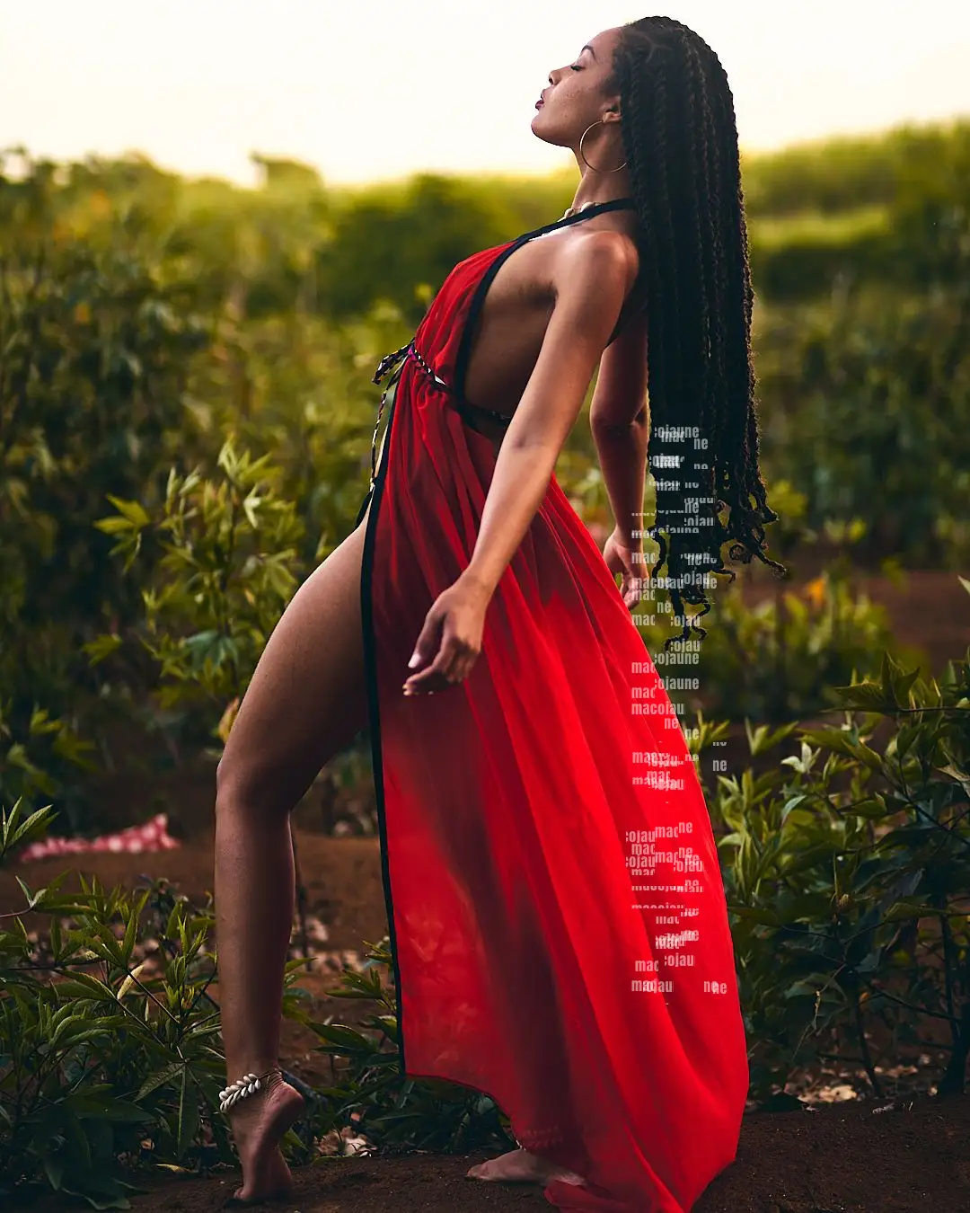 Insta DSC01417