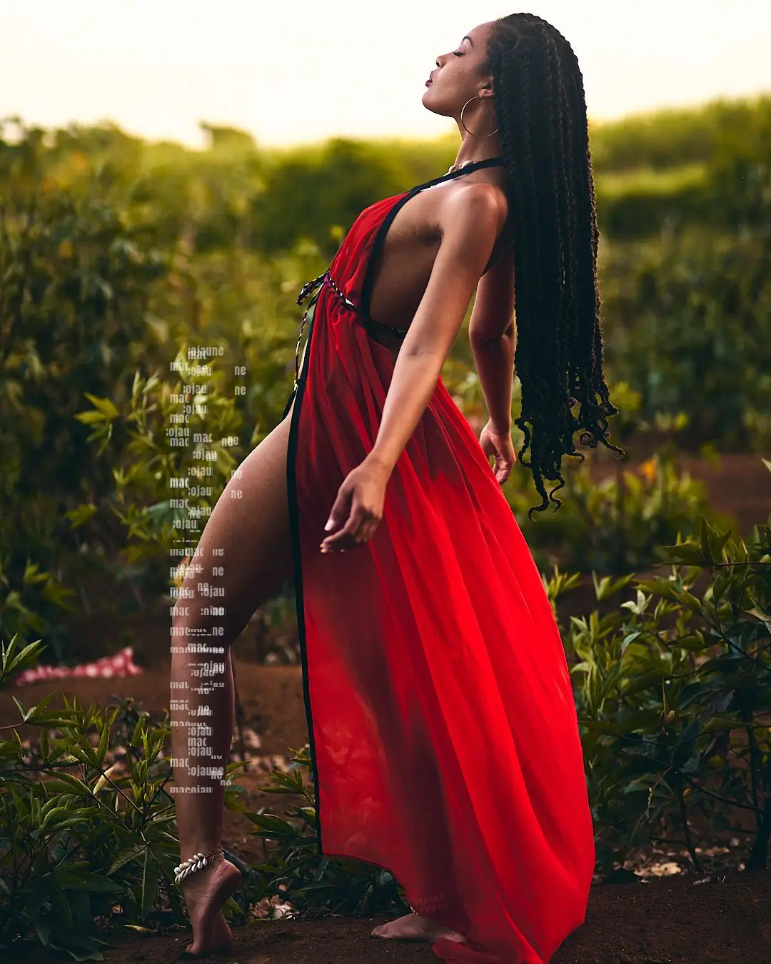Insta DSC01417