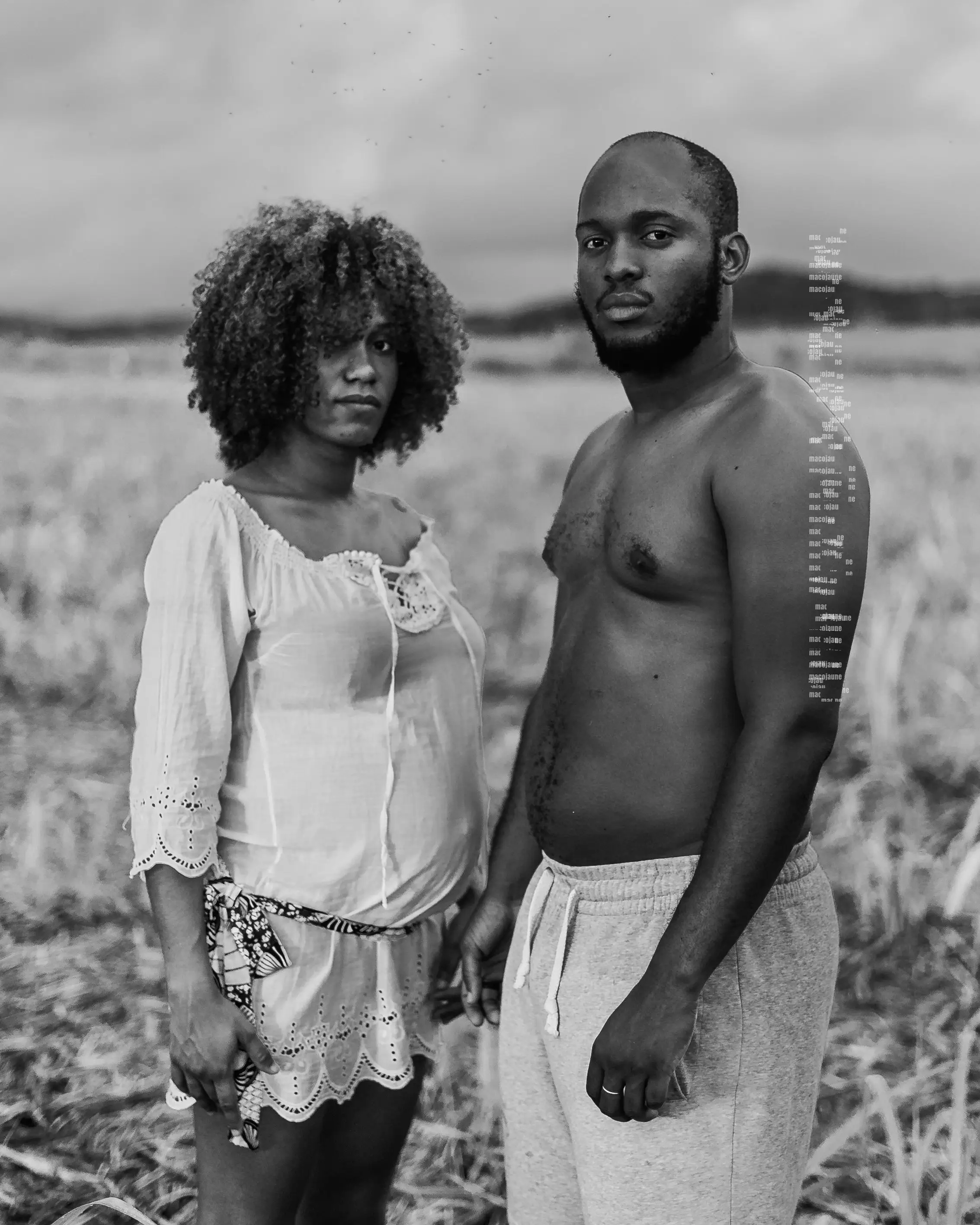 DSC01246